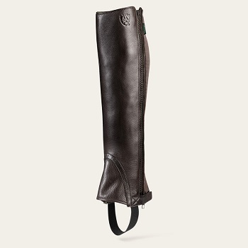 Ariat Breeze Half Chap Chocolate