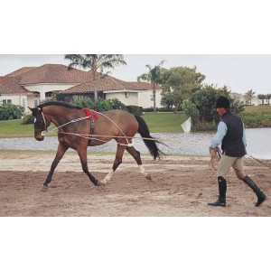 Pessoa Lungeing System