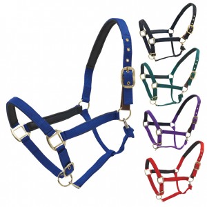 Centaur Super Padded Comfort Halter