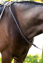 Breastplates and Martingales
